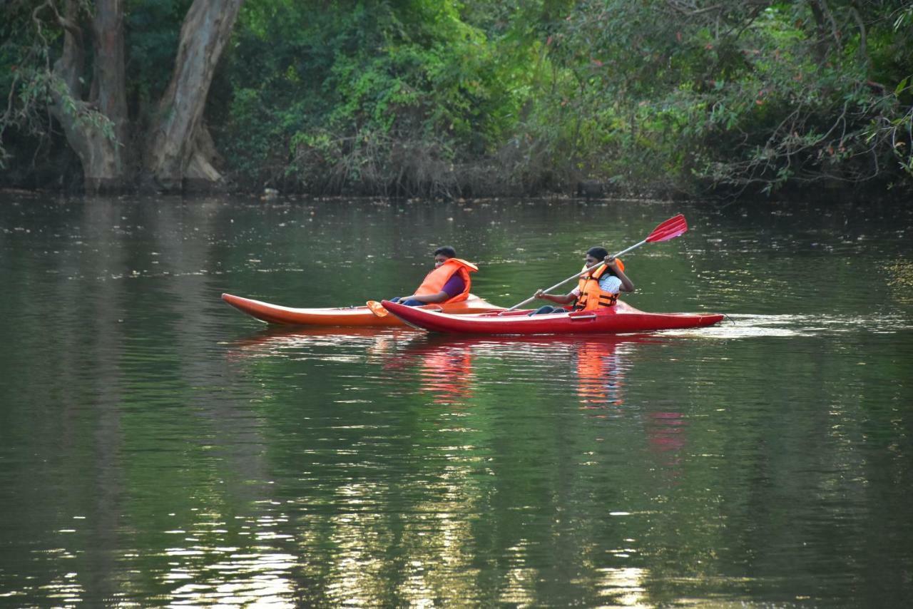 Arachiwil Green Nature Resort Puttalam Eksteriør billede