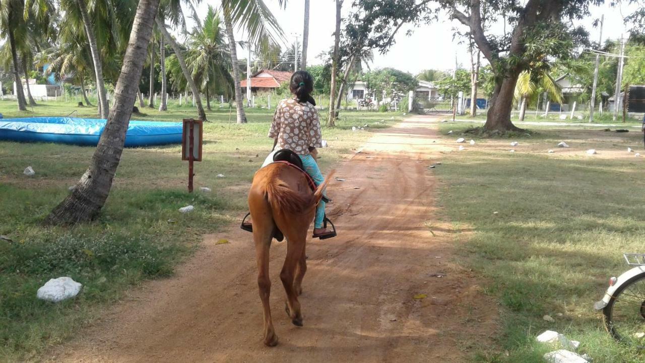 Arachiwil Green Nature Resort Puttalam Eksteriør billede